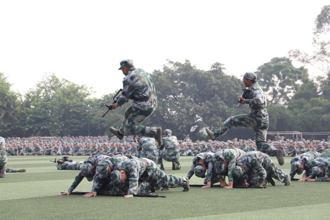 3044永利