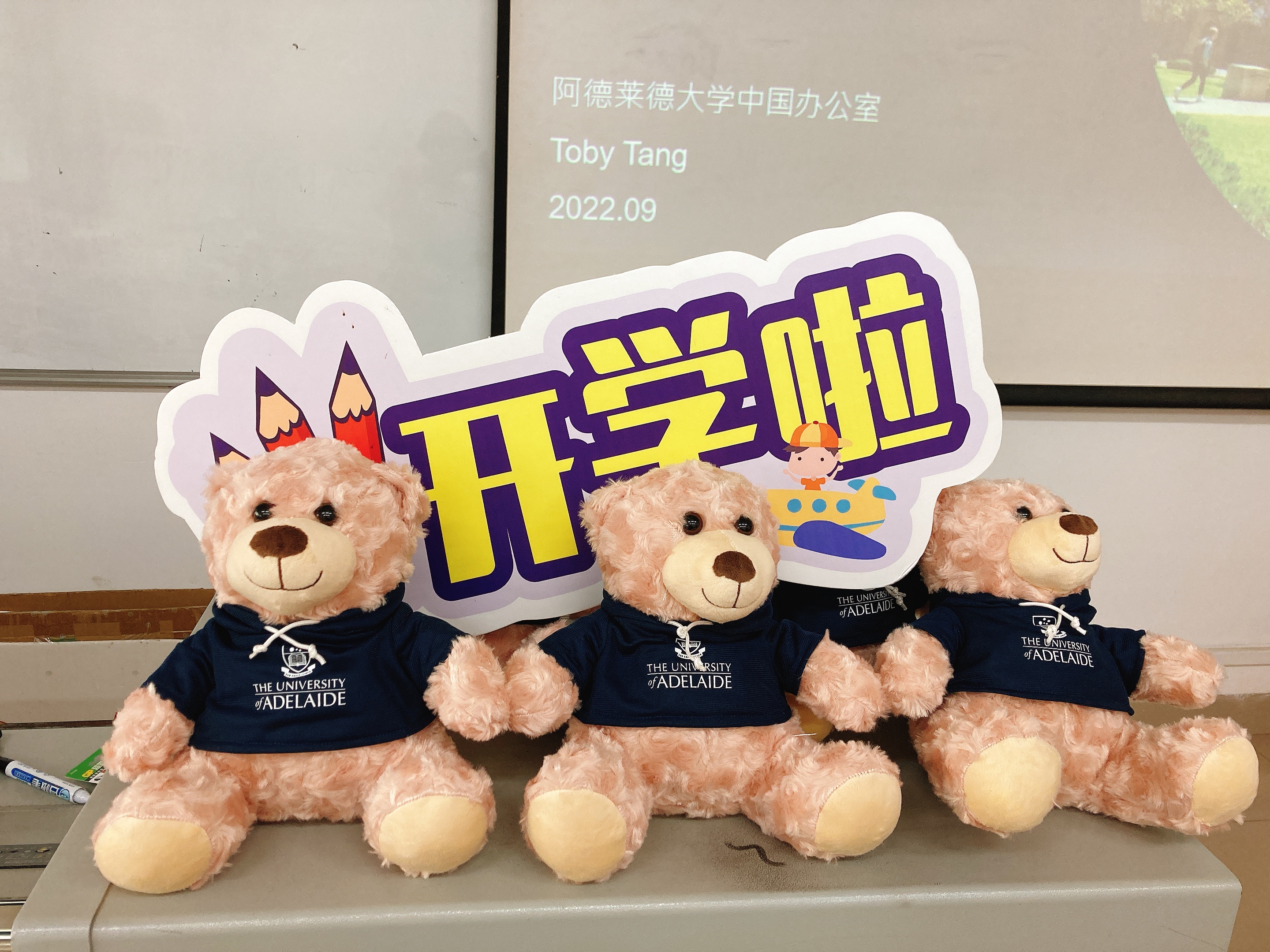 3044永利