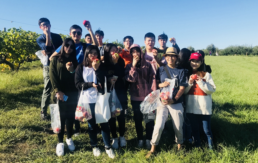 3044永利