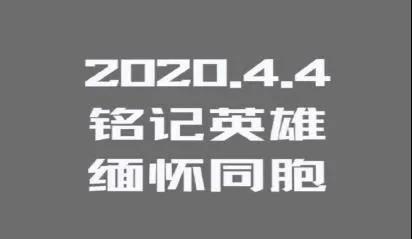 3044永利